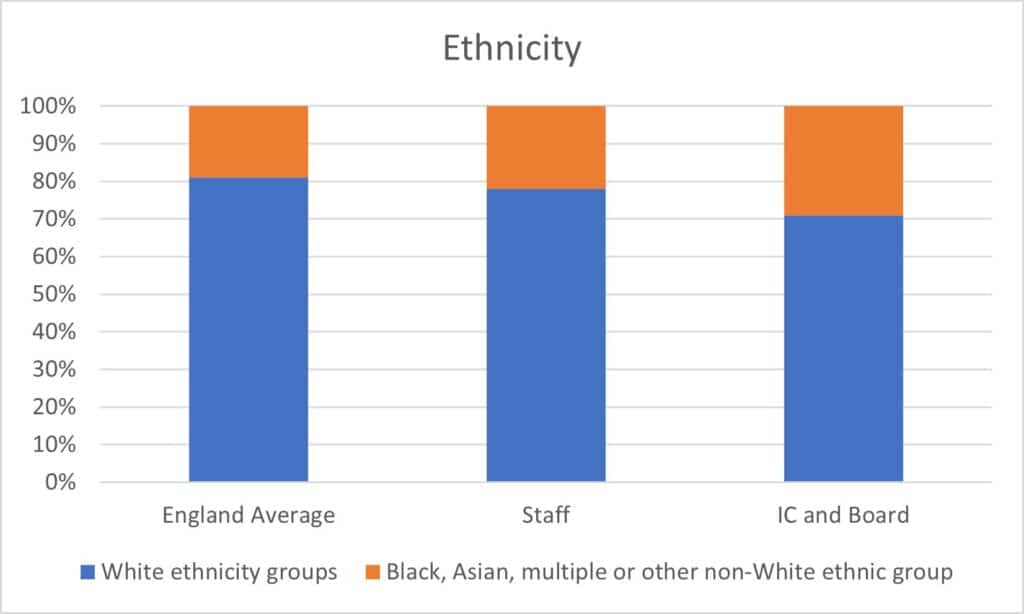 Diversity data audit